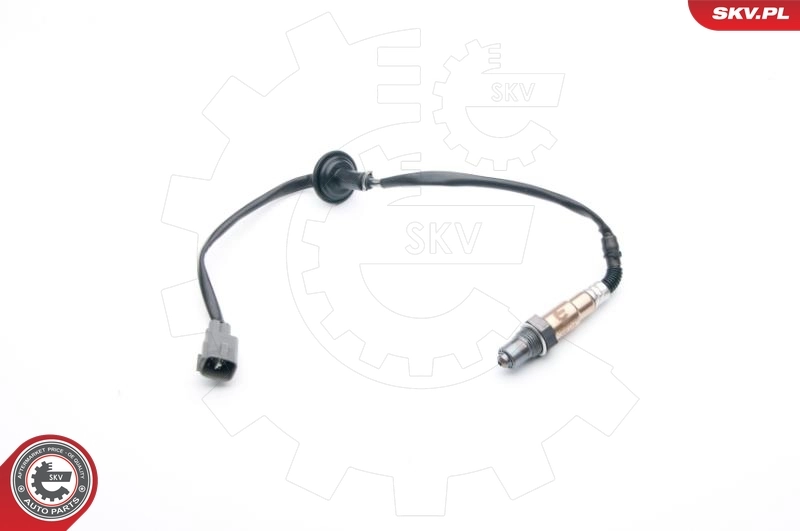Oxygen Sensor
